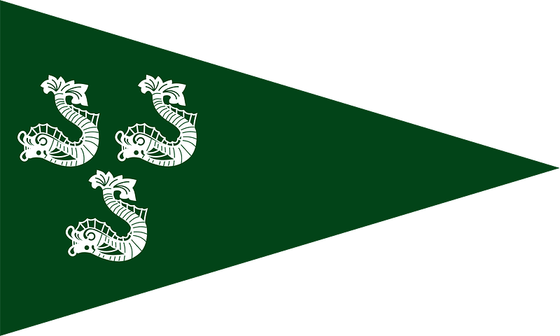 Burgee of CN Leça