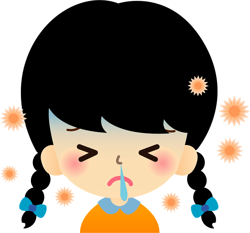 Hay Fever in Japan