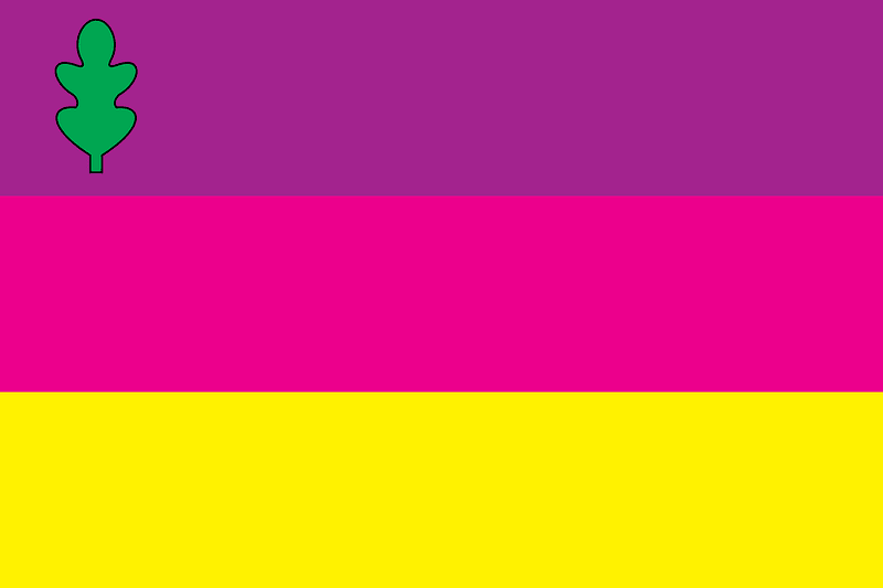 Flag of Dykanka raion