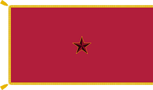 Flag of the City Council of Nagyatád (1960s)