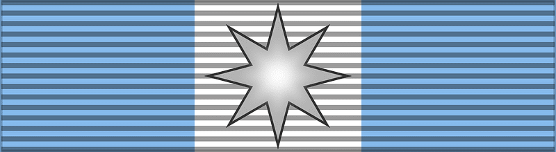ROU Faithful Service Order 2000 GCross BAR