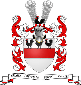 Blason famille Occoche de Manchicourt (avec ornements)