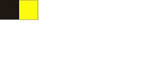 Sneek Flag