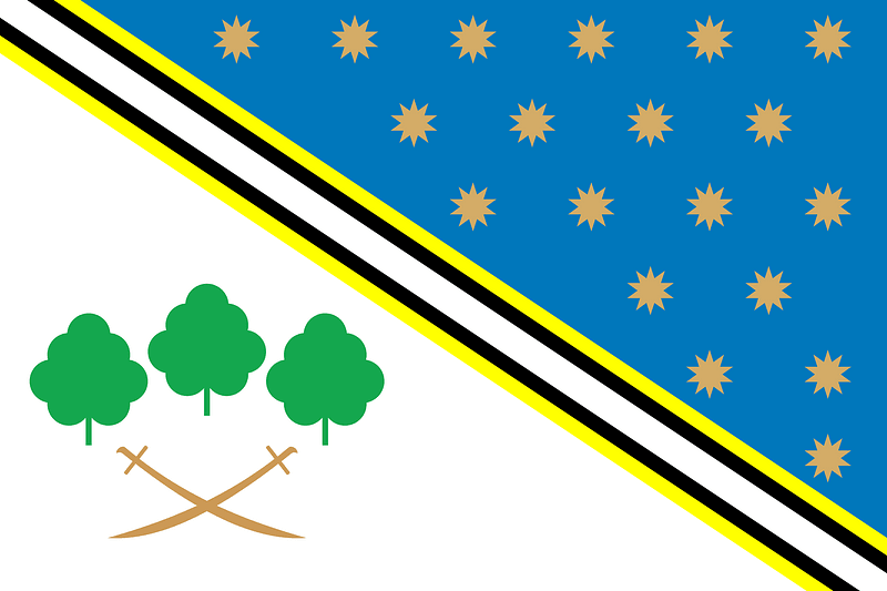 Flag of Piatykhatky raion