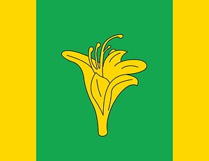 Flag of Novohrad-Volynskyi raion