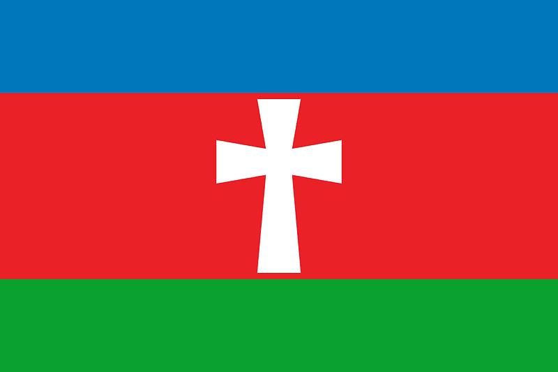 Flag of Stara Syniava raion
