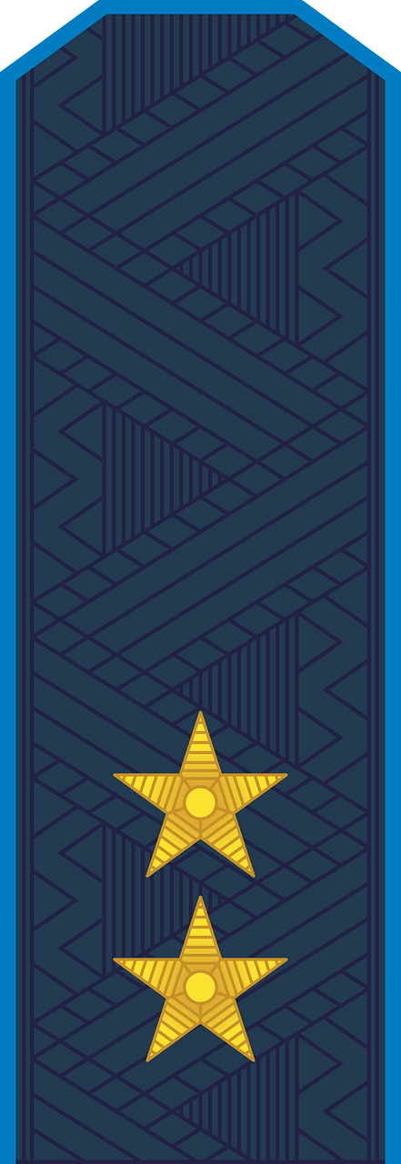 Rank insignia of the Prosecutor's Office of Ukraine 8