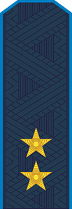 Rank insignia of the Prosecutor's Office of Ukraine 8