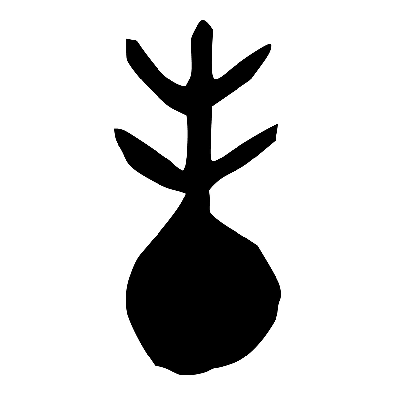 丰-oracle-2