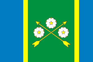 Flag of Kelmentsi raion