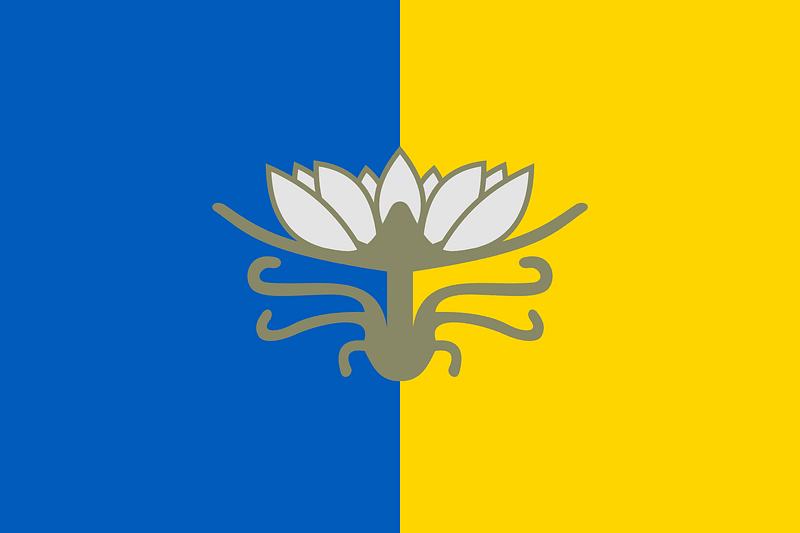 Flag of Hola Prystan
