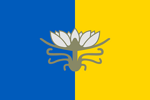 Flag of Hola Prystan