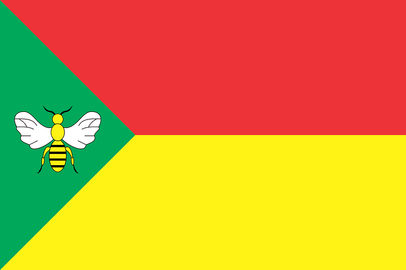 Flag of Vilshanka raion