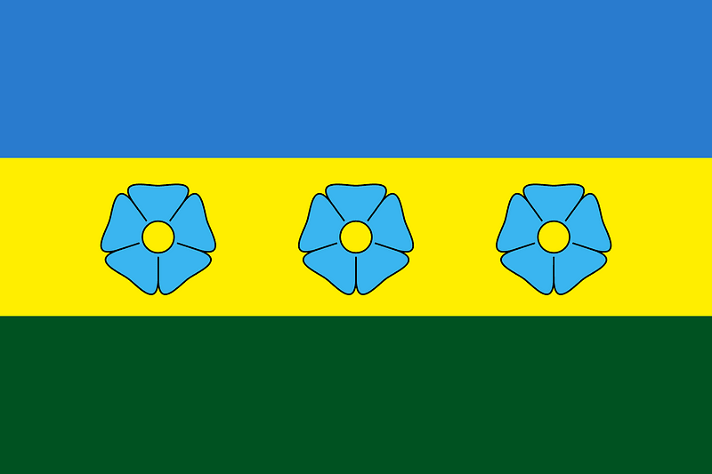 Flag of Yemilchyne raion
