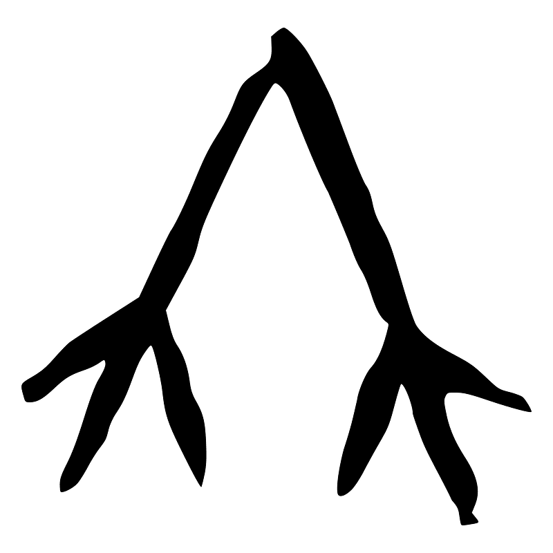 竹-oracle