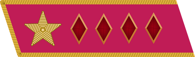 Red Army 1935 collar small komandarm 1-go ranga