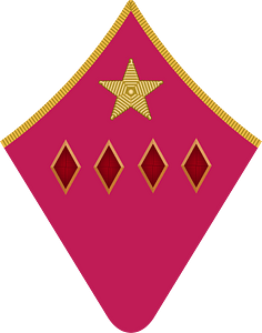 Red Army 1935 collar big komandarm 1-go ranga