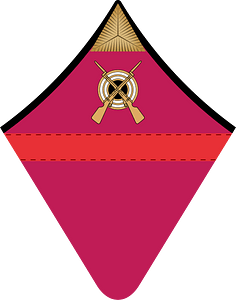 RKKA 1941 collar big OR2 yefreitor