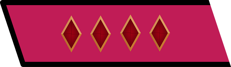 RKKA collar small army commissar 2nd rank