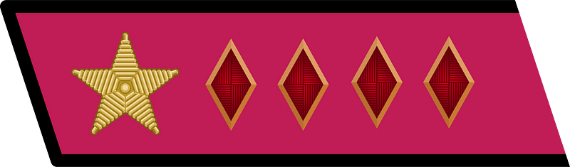 RKKA collar small army commissar 1st rank