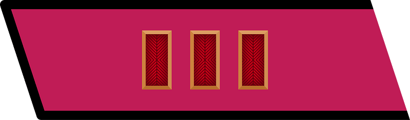 RKKA collar small regimental commissar 1935 senior battalion commissar 1940