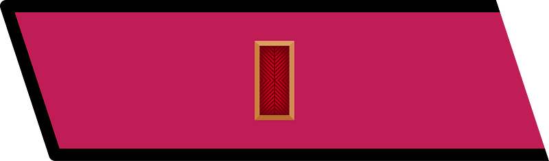 RKKA collar small senior politruk