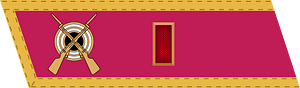 RKKA 1940 collar small OF2 kapitan