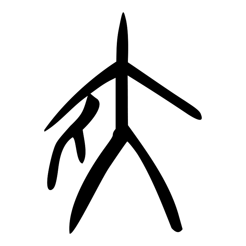 夾-oracle-3