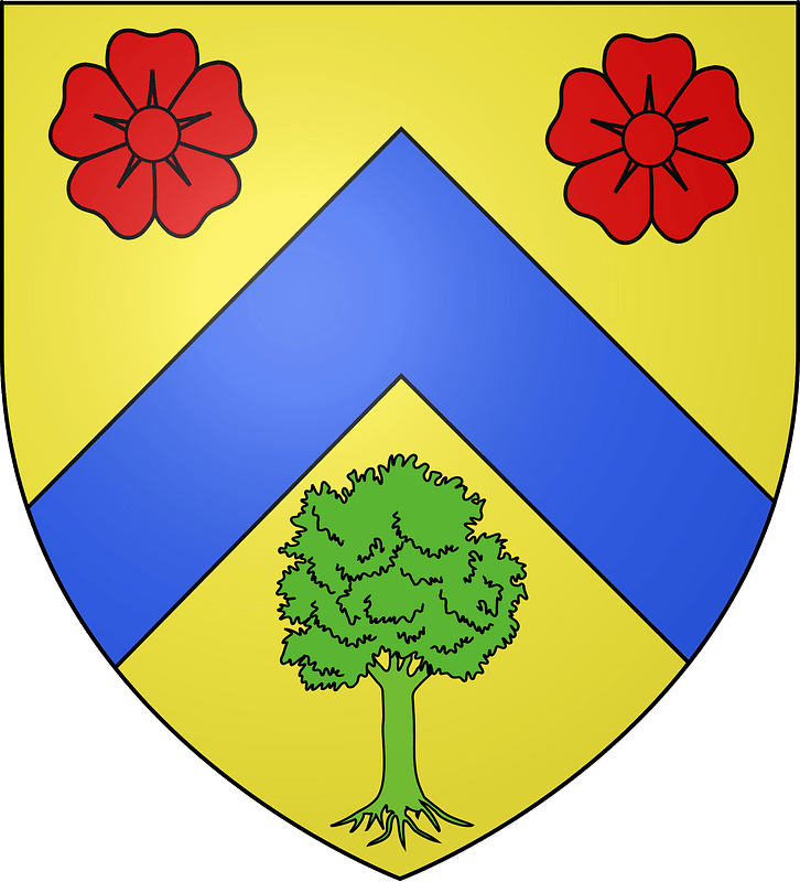 Blason de la famille de Robineau de Villemont