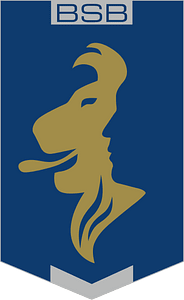 Embleem Brigade Speciale Beveiligingsopdrachten