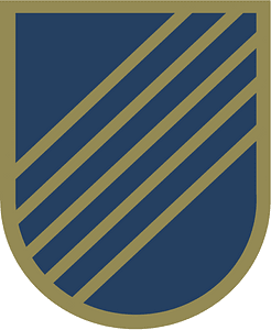 USAF Combat Aviation Advisor flash