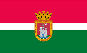 Bandera oficial de Cantillana