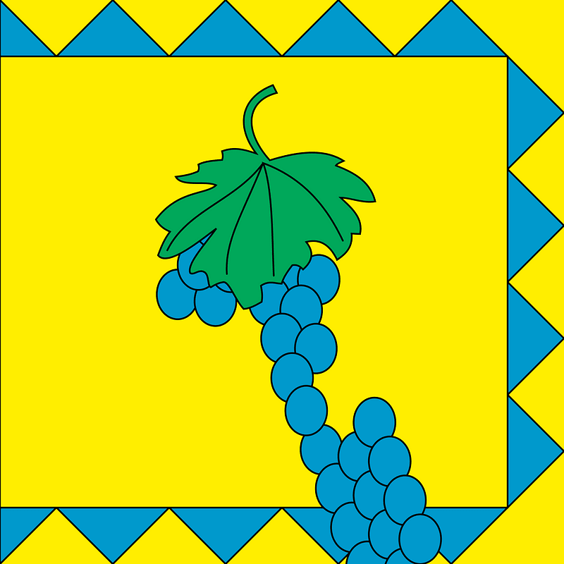 Flag of Vynnyky, Lviv Oblast