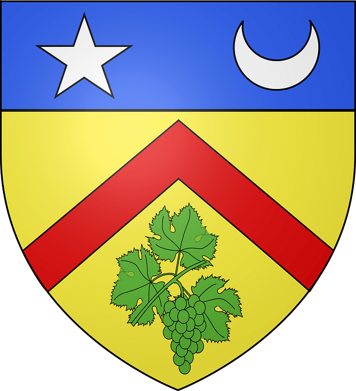 Blason famille Botu de Verchère