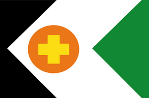 Spijk Dorpsvlag 6 mei 1971