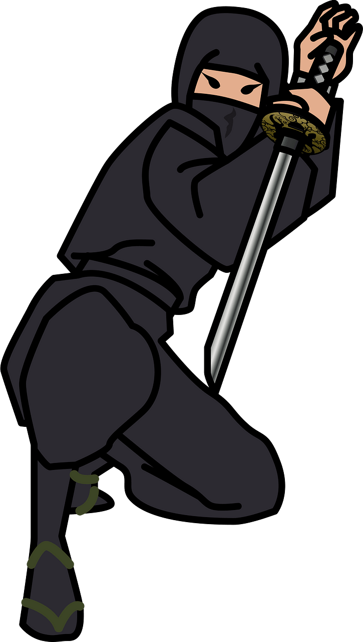 Ninja Shinobi