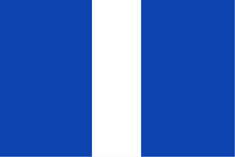 Goudswaard vlag