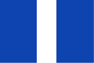 Goudswaard vlag