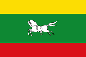 Zuidlaren vlag