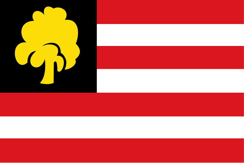 s Hertogenbosch vlag 1957