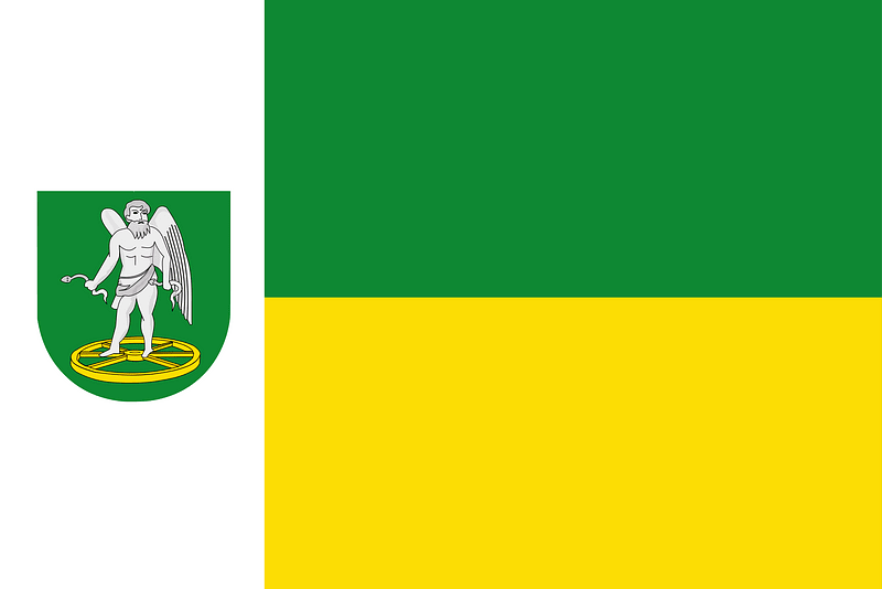 Warnsveld vlag 1958