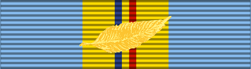 ROU Sports Merit Medal 2003 1st class 2x BAR