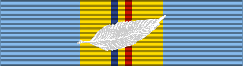 ROU Sports Merit Medal 2003 2nd class 2x BAR