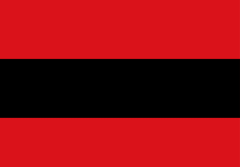 Nijmegen vlag 1953