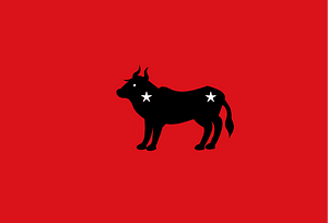 Edam vlag 1669-1670