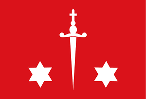 Haarlem vlag onofficieel
