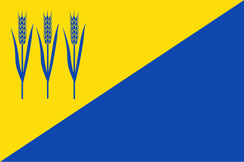 Opperdoes vlag 2008