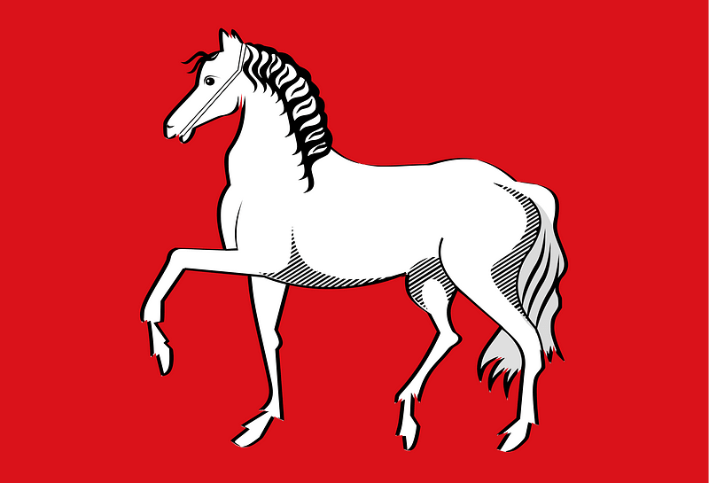 Assendelft dorpsvlag