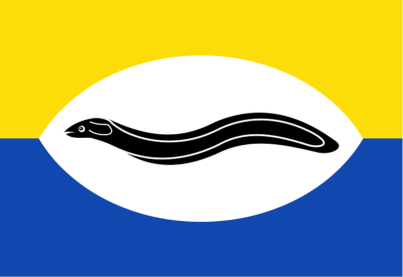 Lambertschaag vlag