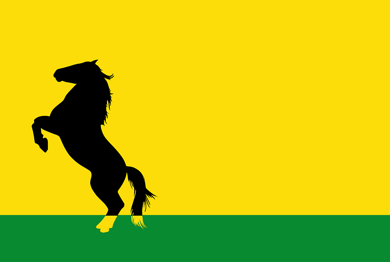 Hengstdijk vlag